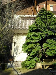 appartamento-in-vendita---ronzone-31