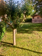 villa in vendita - caorle 