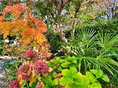 appartamento in vendita - merano 