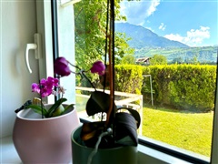 appartamento in vendita - merano 